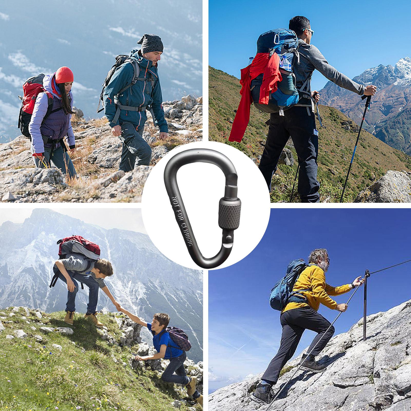 Outdoor Aluminum D Shape Locki – обзор и цена Carabiner Locking D